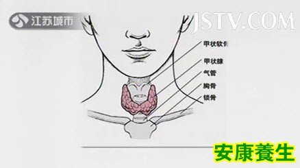 甲状腺位置