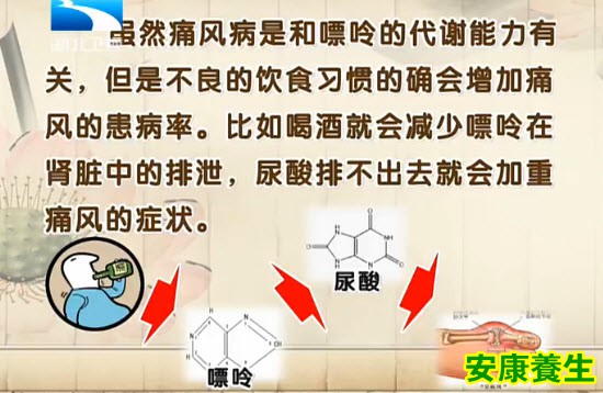 饮食养生汇20131205视频:刘燕萍讲痛风的营养治疗,痛风的原因,痛风